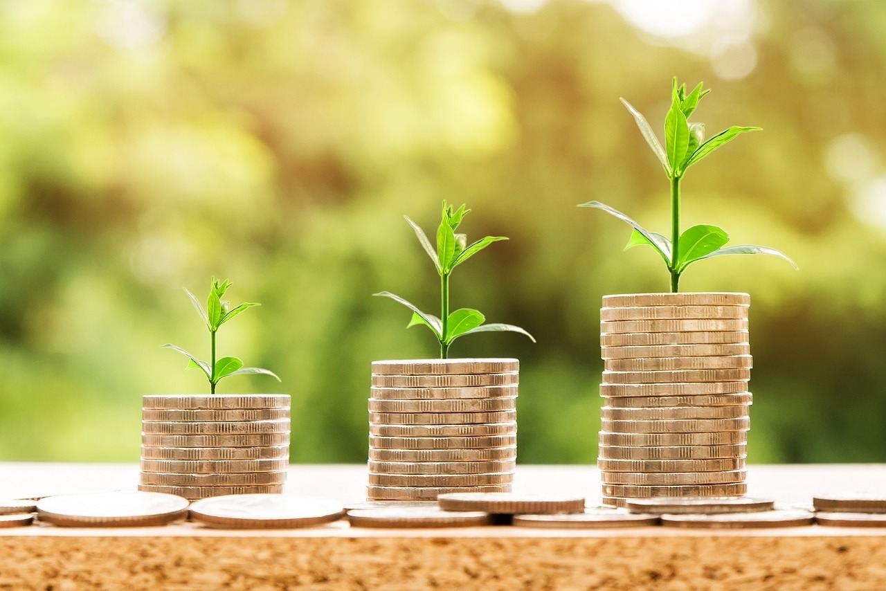 Sustainable Growth