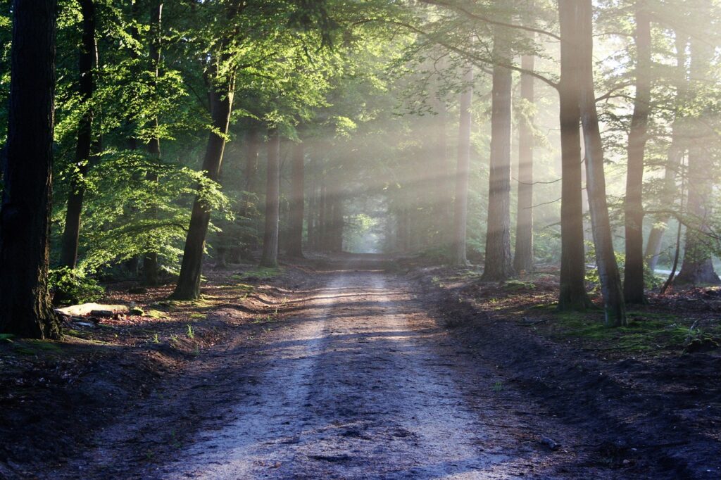 Path to Franchising